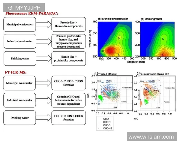 高效清洁泳池的全面指南，确保水质清澈无忧的实用技巧与步骤