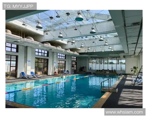 夏季泳池必备用品推荐，提升游泳体验的精选装备与安全保障