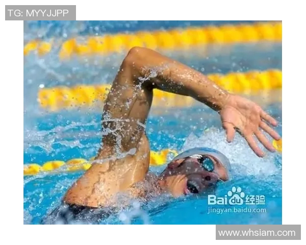 提高自由泳技巧的关键要素与训练方法全面解析