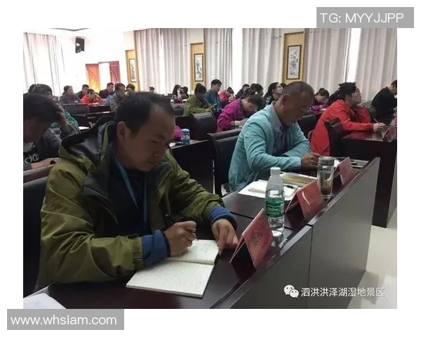 新赛事规则详解与参赛要求分析：全面解析比赛流程与评分标准