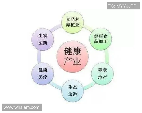 探索未来医疗：创新技术与健康管理的深度融合与发展趋势