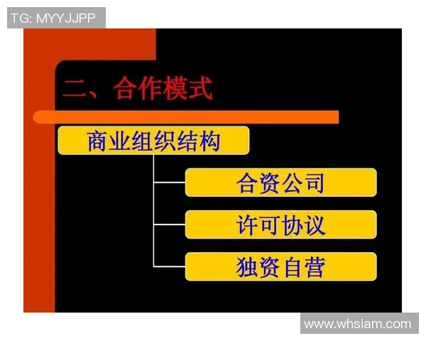 以赞助商为核心推动力的品牌合作模式探索与实践分析