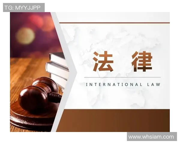 法律视角下的社会公正与公平保护：探讨现代法治建设中的挑战与对策