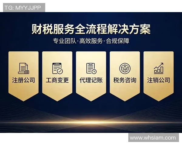 财务注册流程全解析助力企业轻松合规经营与税务管理