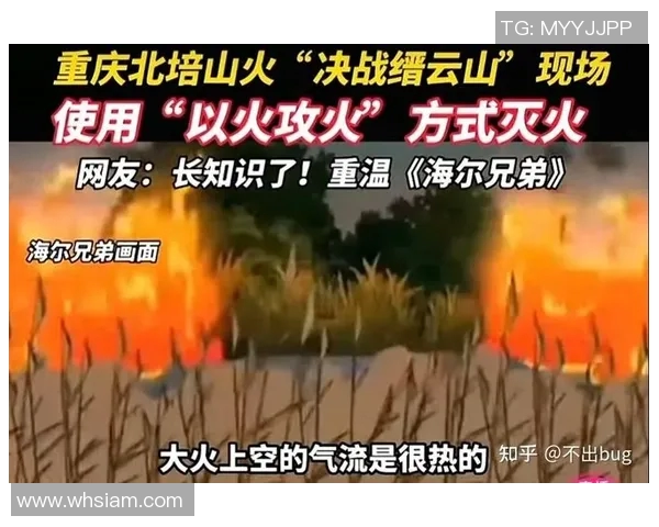 重庆排球队的战术解析与阵地战策略深度剖析